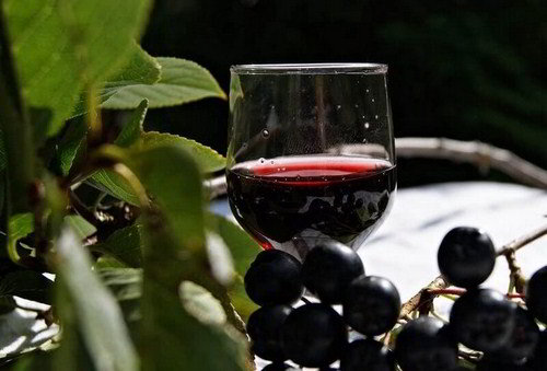 Настойка из черноплодной рябины на водке, с вишневыми листьями и сахаром. Рецепт приготовления в домашних условиях.